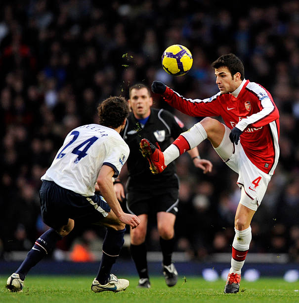 加盟提供了 加盟提供了